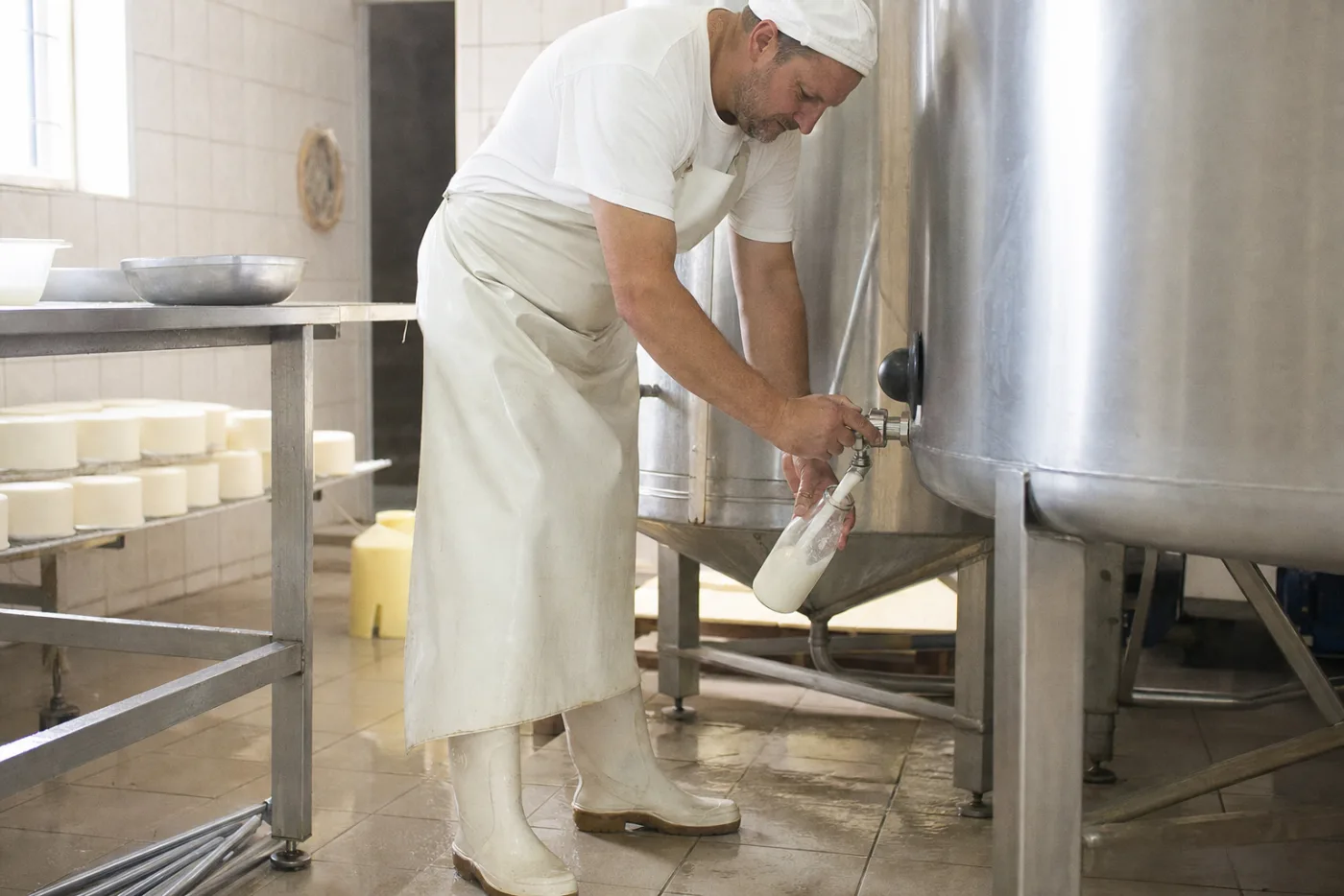 A dairy farmer bottling milk in a small farm dairy